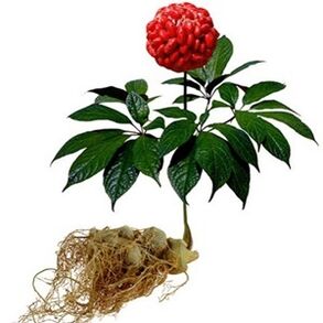 Ginseng composition